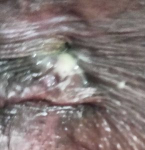 WhatsApp-Image-2024-10-29-at-02.35.09_868a7732-2-1